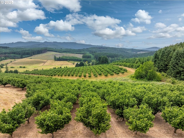 14040 NW Parson Rd, Forest Grove, OR 97116 - mountain view featuring abundant farmland and rural landscape