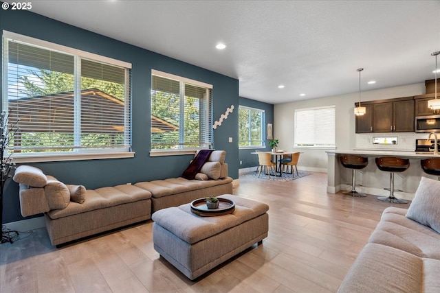 living room featuring light hardwood / wood-style floors and plenty of natural light