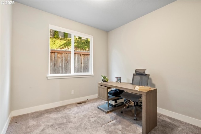 office featuring carpet floors