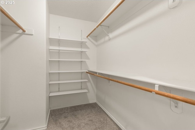 16044 SW Langer Dr, Sherwood, OR 97140 - spacious closet featuring carpet floors