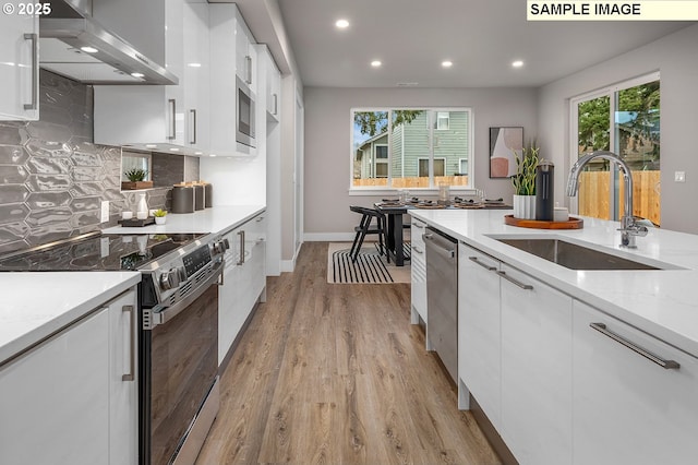 kitchen with white cabinets, ventilation hood, stainless steel appliances, and a sink