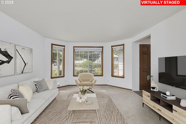 13326 SW Shore Dr, Portland, OR 97223 - living room with a textured ceiling
