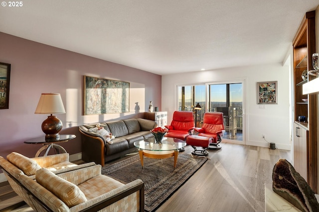 living room featuring light hardwood / wood-style floors