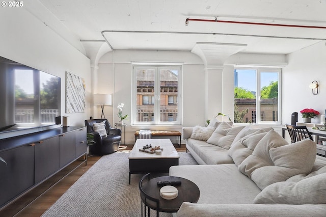 living room with dark wood finished floors