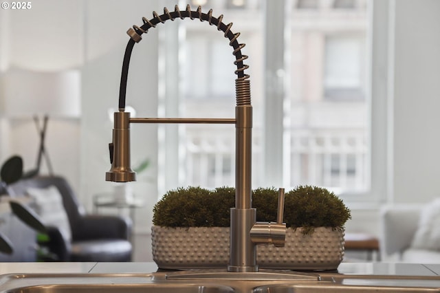 room details with a sink