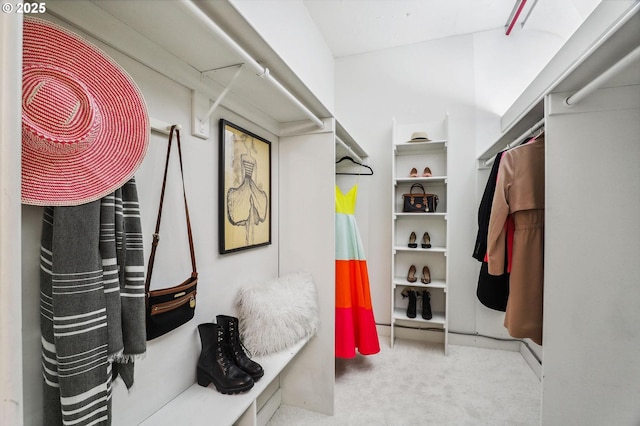 spacious closet with carpet floors