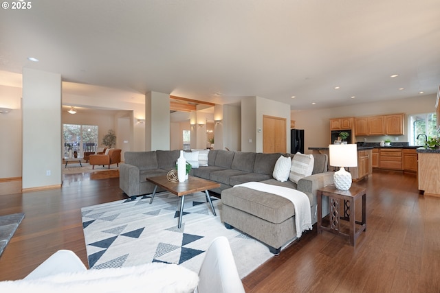 living room featuring dark hardwood / wood-style floors and sink