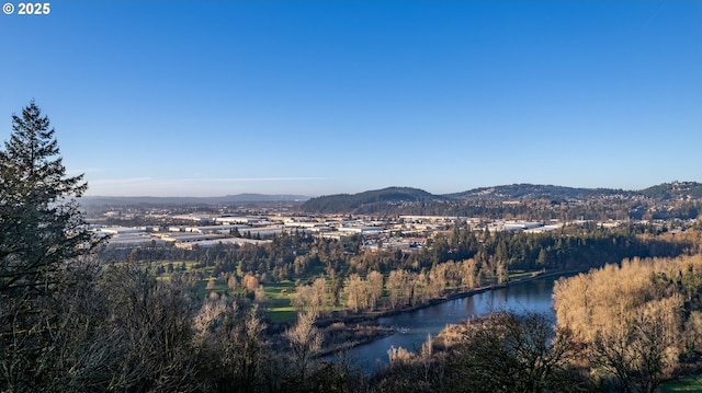 property view of mountains featuring a water view