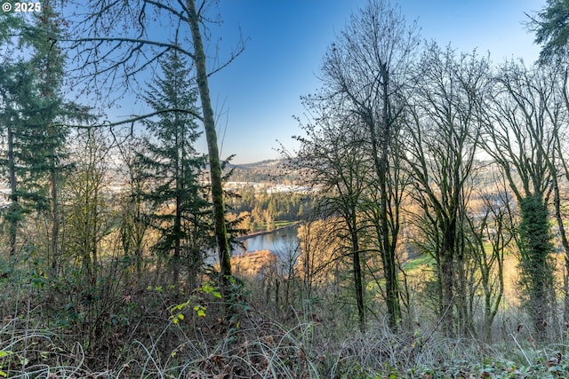 14788 S Burkstrom Rd, Oregon City, OR 97045 - water view with a mountainous background