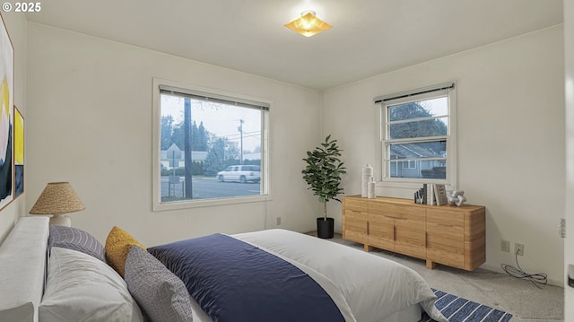 view of carpeted bedroom