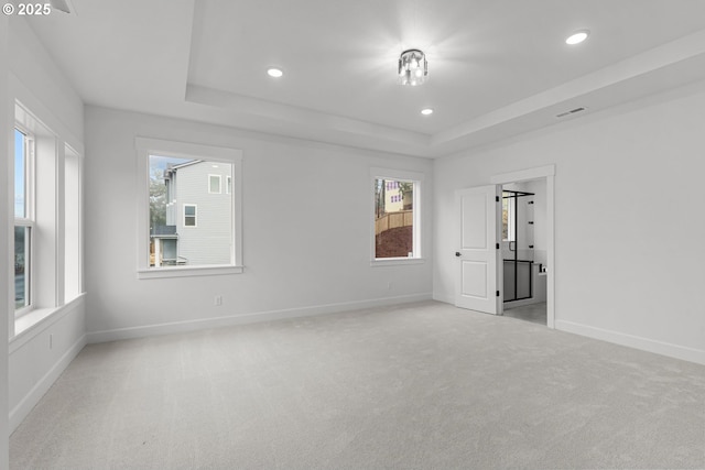 empty room with light colored carpet, plenty of natural light, and a tray ceiling