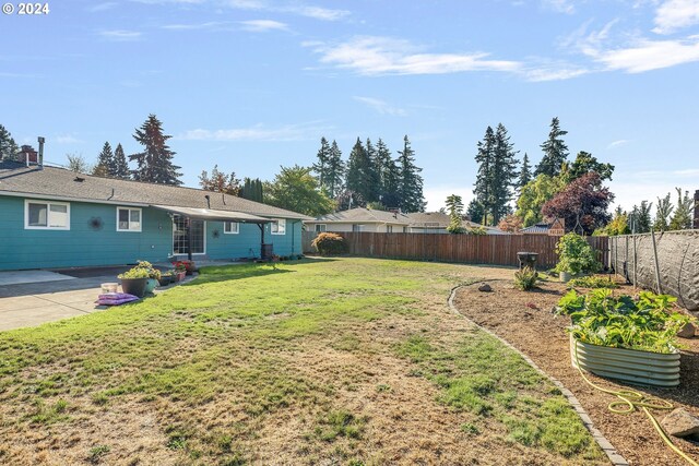 view of yard featuring a patio area