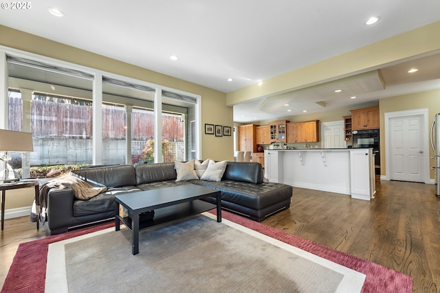 living room featuring dark hardwood / wood-style floors