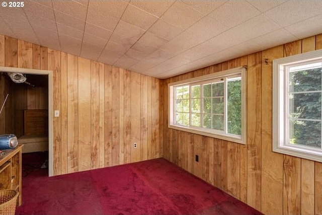 22885 S Tendril Ln, West Linn, OR 97068 - carpeted spare room with wooden walls and healthy amount of natural light