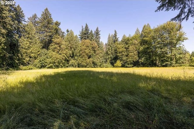 22885 S Tendril Ln, West Linn, OR 97068 - view of tree filled area