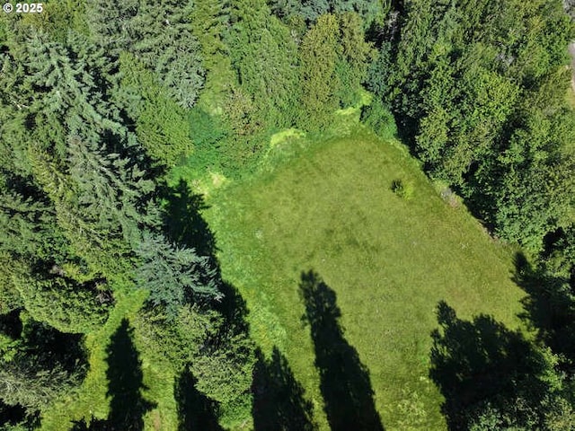 22885 S Tendril Ln, West Linn, OR 97068 - aerial overview of property's location