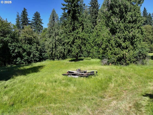 22885 S Tendril Ln, West Linn, OR 97068 - view of yard with a view of trees