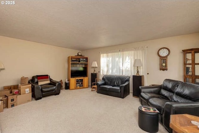 22885 S Tendril Ln, West Linn, OR 97068 - living room with carpet floors and a textured ceiling