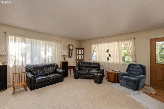 22885 S Tendril Ln, West Linn, OR 97068 - living room with plenty of natural light and carpet