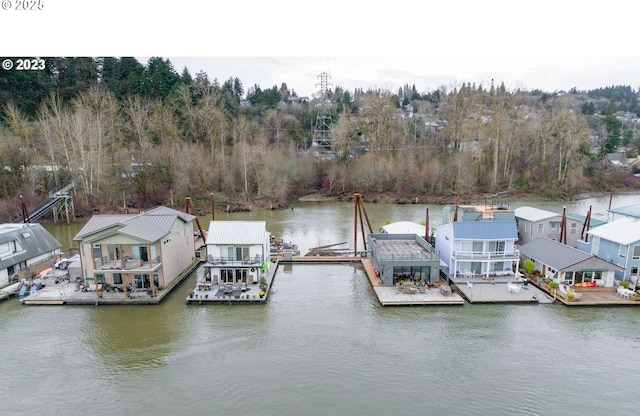 dock area with a water view