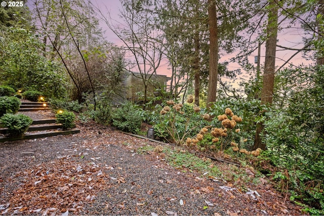 view of yard at dusk