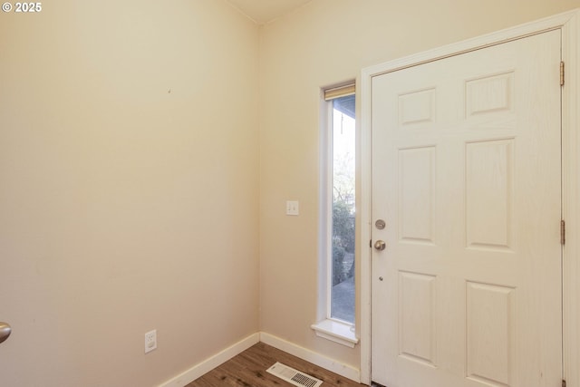 entryway featuring wood-type flooring