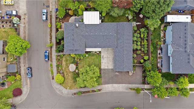 bird's eye view
