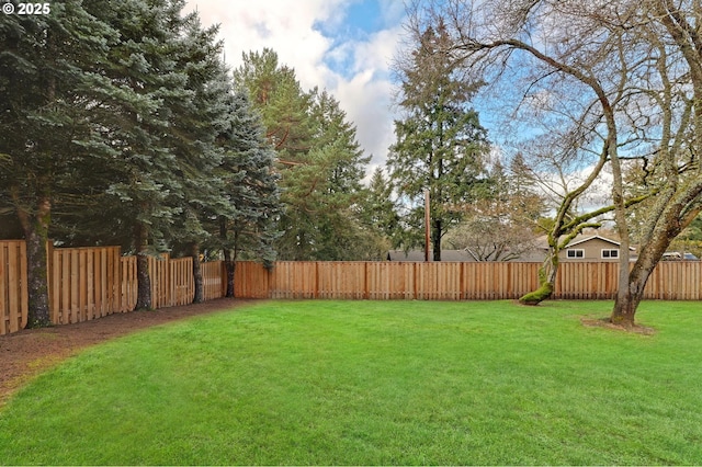 view of yard featuring a fenced backyard