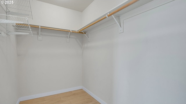 spacious closet featuring light wood-style flooring