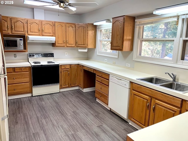 kitchen featuring range with electric stovetop, dark hardwood / wood-style floors, dishwasher, sink, and ceiling fan