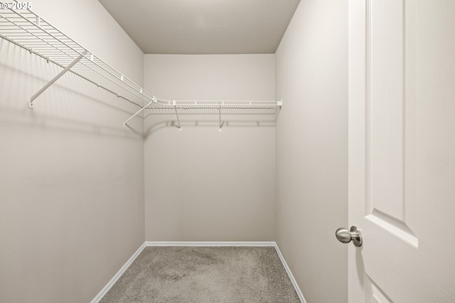 spacious closet with carpet