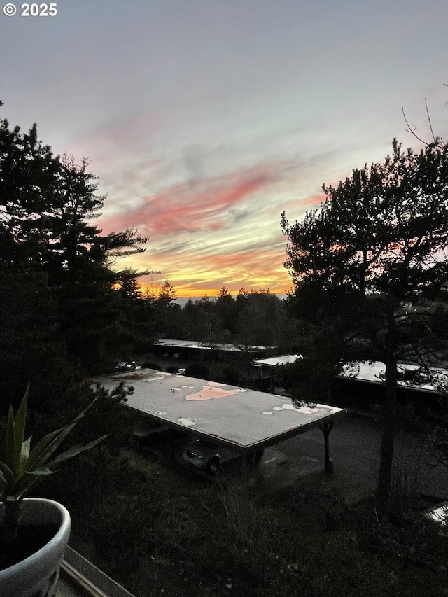 yard at dusk with a water view