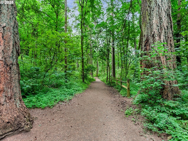 18840 SW Westland Ln, Beaverton, OR 97003 - view of road featuring a forest view