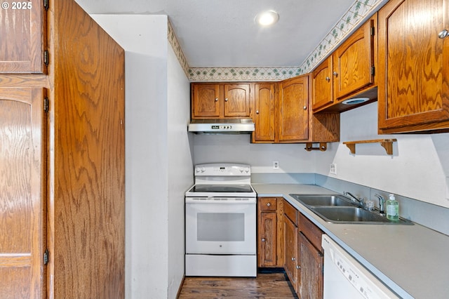 kitchen featuring dark hardwood / wood-style flooring, sink, and white appliances