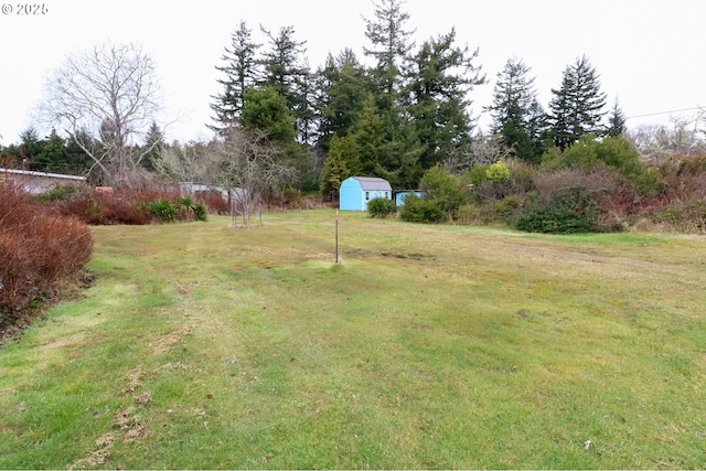 view of yard featuring a shed