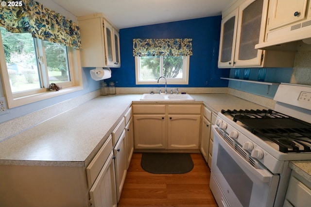 kitchen with sink, plenty of natural light, light hardwood / wood-style floors, and white gas stove