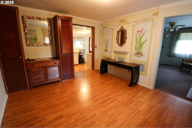 hall featuring crown molding and light wood-type flooring