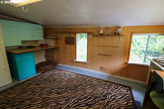 kitchen featuring a healthy amount of sunlight and wooden walls