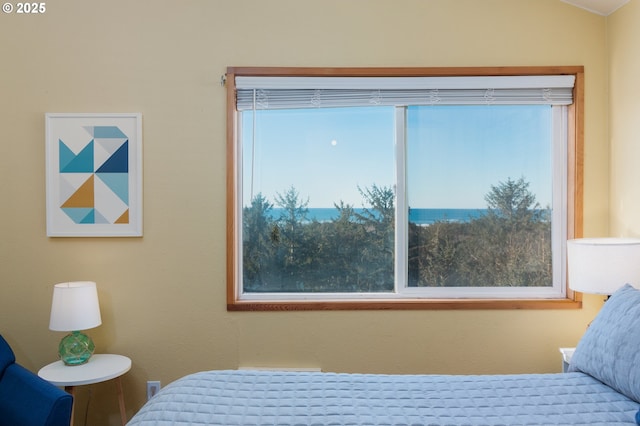 bedroom with lofted ceiling