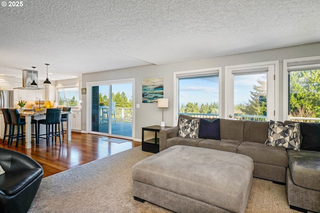 living room featuring a healthy amount of sunlight, a textured ceiling, and dark wood-style flooring