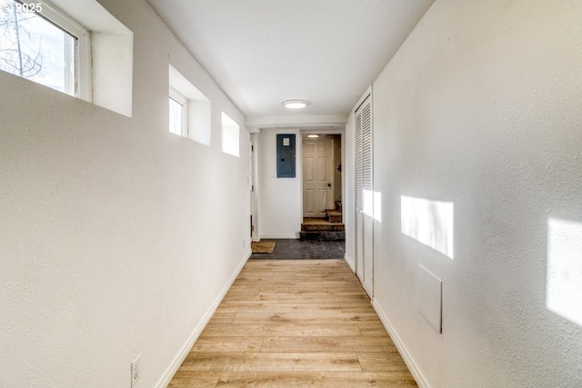 hallway with plenty of natural light, electric panel, and light hardwood / wood-style flooring