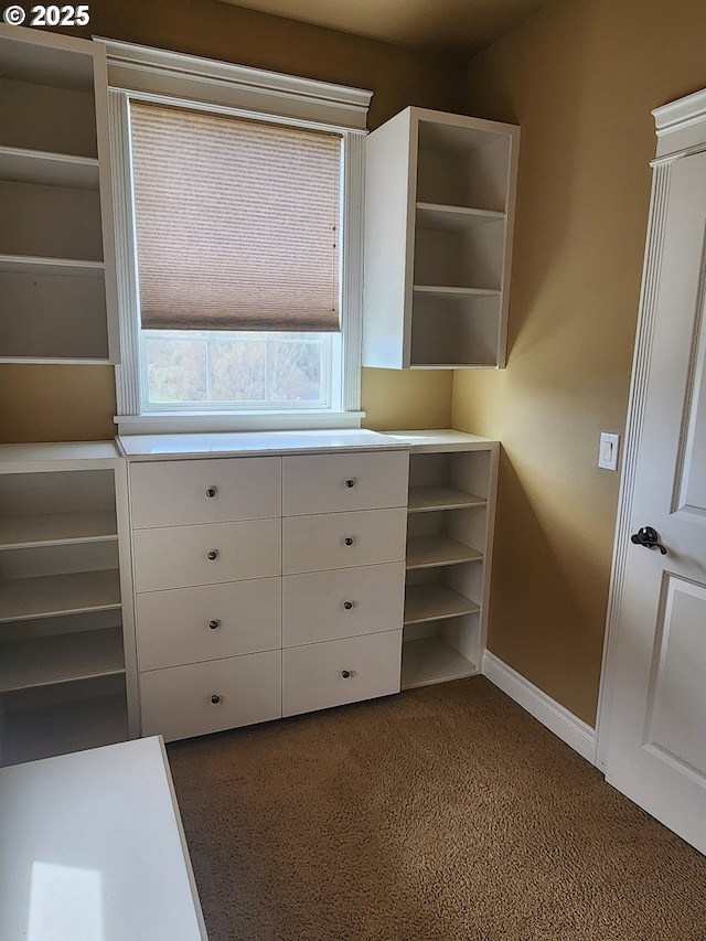 102 Sarah Bear Ln, Winston, OR 97496 - walk in closet with dark colored carpet