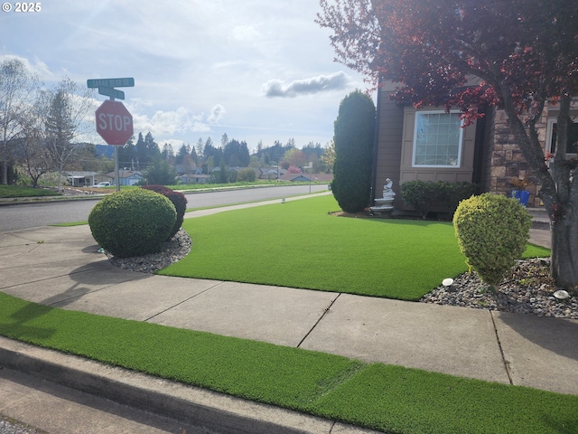 102 Sarah Bear Ln, Winston, OR 97496 - view of yard