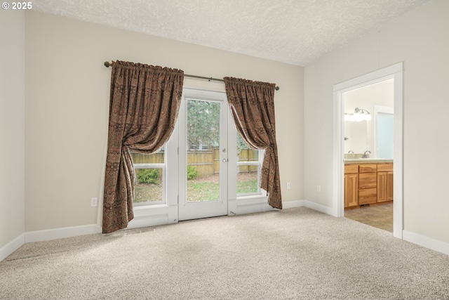 interior space featuring access to exterior, light colored carpet, a sink, a textured ceiling, and baseboards