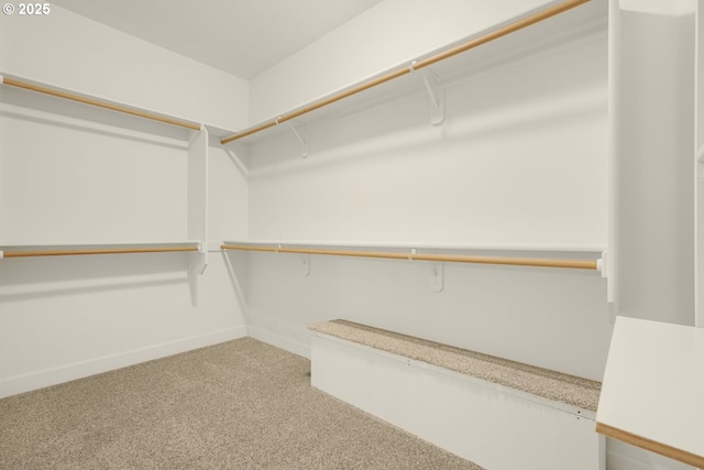 walk in closet featuring light colored carpet