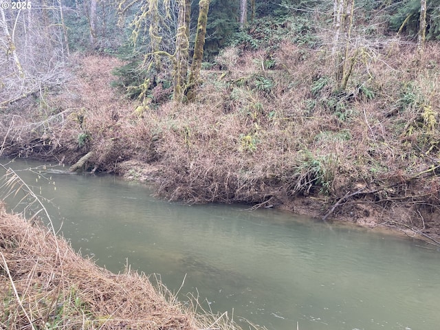 property view of water featuring a forest view