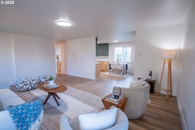 living room featuring wood-type flooring