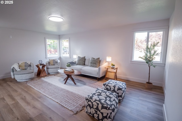 living area featuring wood-type flooring and plenty of natural light