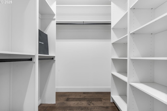 spacious closet featuring dark hardwood / wood-style floors