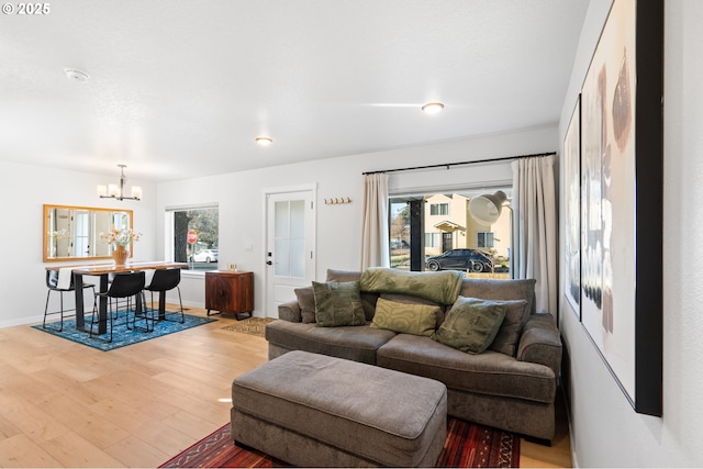 living room featuring a healthy amount of sunlight, an inviting chandelier, and hardwood / wood-style flooring